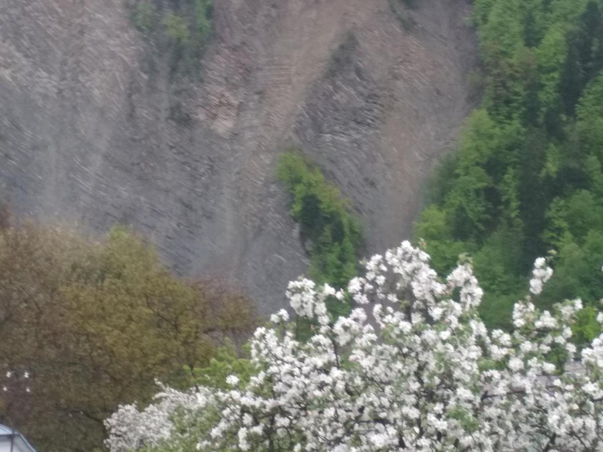 Zelena Sadyba Bila Stavka Yaremche Dış mekan fotoğraf