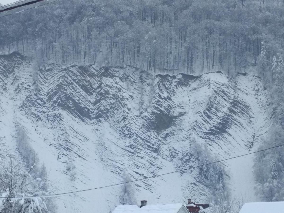 Zelena Sadyba Bila Stavka Yaremche Dış mekan fotoğraf